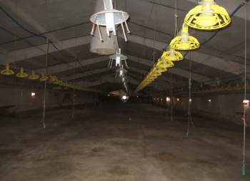 Poultry production business (poultry growing, slaughtering and processing)